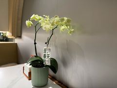 -麻喜大