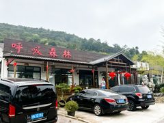 -呼吸森林·生态农庄农家乐私房菜