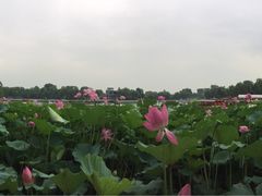 -小王府(什刹海店)