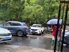 -浔味·山屿湖·正宗淳牌全鱼宴老字号