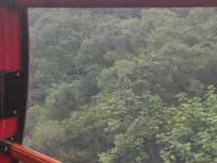 -栾川竹海野生动物园