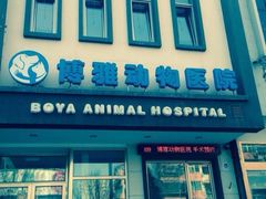 -纳吉亚猫专科动物医院博雅分院
