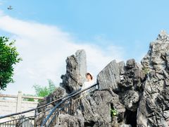 -广东花都湖国家湿地公园