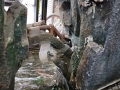 -魏家凉皮(黄雁村店)