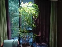 -王府茶宴(大观园总店)
