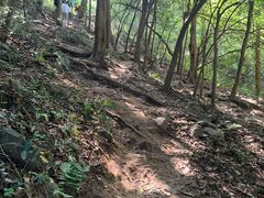 -紫金山山顶公园