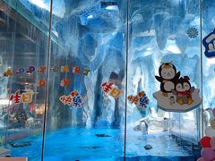 -帝企鹅自助餐厅•儿童岛•真企鹅(长隆企鹅酒店)