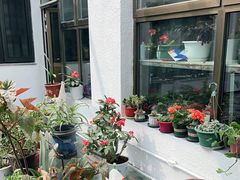 -北京龙庆四季香农家饭庄·灶台鱼·碳烤虹鳟鱼(龙庆峡店)