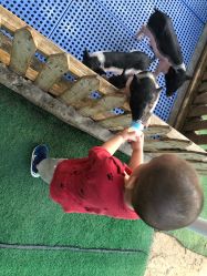 -萌宠亲子动物乐园(槐房万达店)