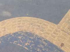 -周黑鸭(沈阳和平区太原街万达店)