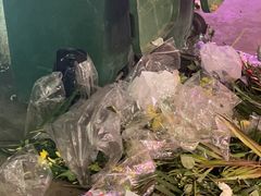 -花鸟鱼虫鲜花绿植市场(玉泉路店)