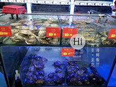 -大茄来海鲜餐厅(亚洲城分行)