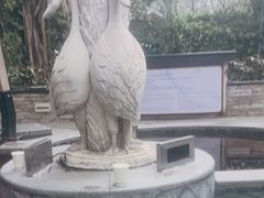 -碧水湾温泉