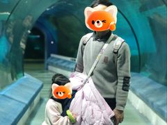 -福州罗源湾海洋世界旅游区