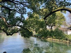 -西溪国家湿地公园