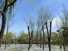 -将府公园