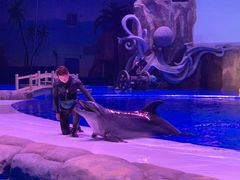 -华夏文旅海洋公园