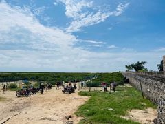 -红树林天天赶海