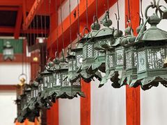 -奈良公园