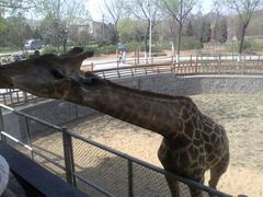 -石家庄市动物园