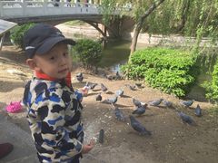 -紫竹院公园冰场