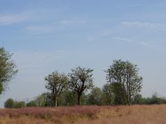 -汉长安城未央宫国家考古遗址公园