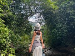 -广州白江湖森林公园