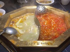 -蜀九香火锅(彩虹店)