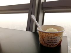 哈根达斯-339旋转餐厅(天府熊猫塔店)