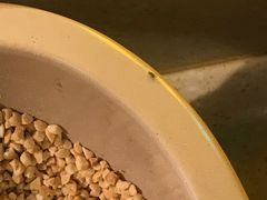 -舒家大院重庆老火锅(纪念塔店)