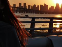 -海堤纪念公园