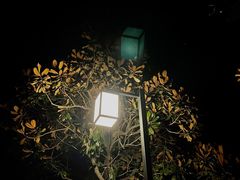 -天目湖涵田度假村
