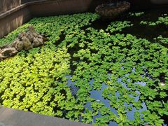 -宁波市保国寺古建筑博物馆