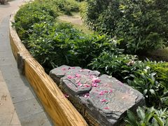 -黑龙江省森林植物园