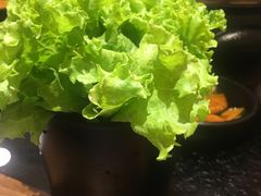 -九田家黑牛烤肉料理(中北镇店)