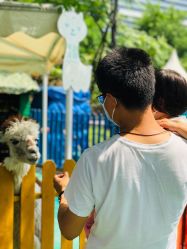 -萌宠亲子动物乐园(槐房万达店)