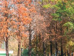 -广东外语外贸大学(白云山校区)