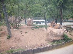 -栾川竹海野生动物园