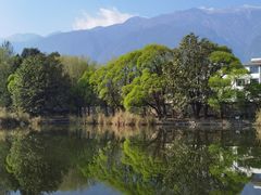-三塔倒影公园
