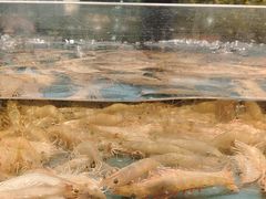 -龙宴海鲜城(经中路店)