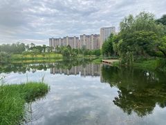 -洋湖国家湿地公园