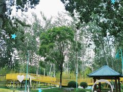 -张店儿童公园