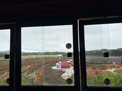 -济州森林小火车生态公园