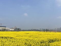 -三圣花乡旅游区