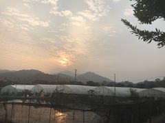 -红山村