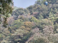 -广州市白云山风景名胜区