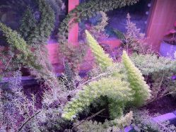 -青木造型HAIR·あおき髪を刈る潮人店