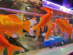 -粗粮人家·东北菜(洋桥店)