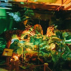 -恐龙探索乐园(磁器口店)