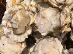 -千滋百味自助海鲜烤肉(布吉景华店)